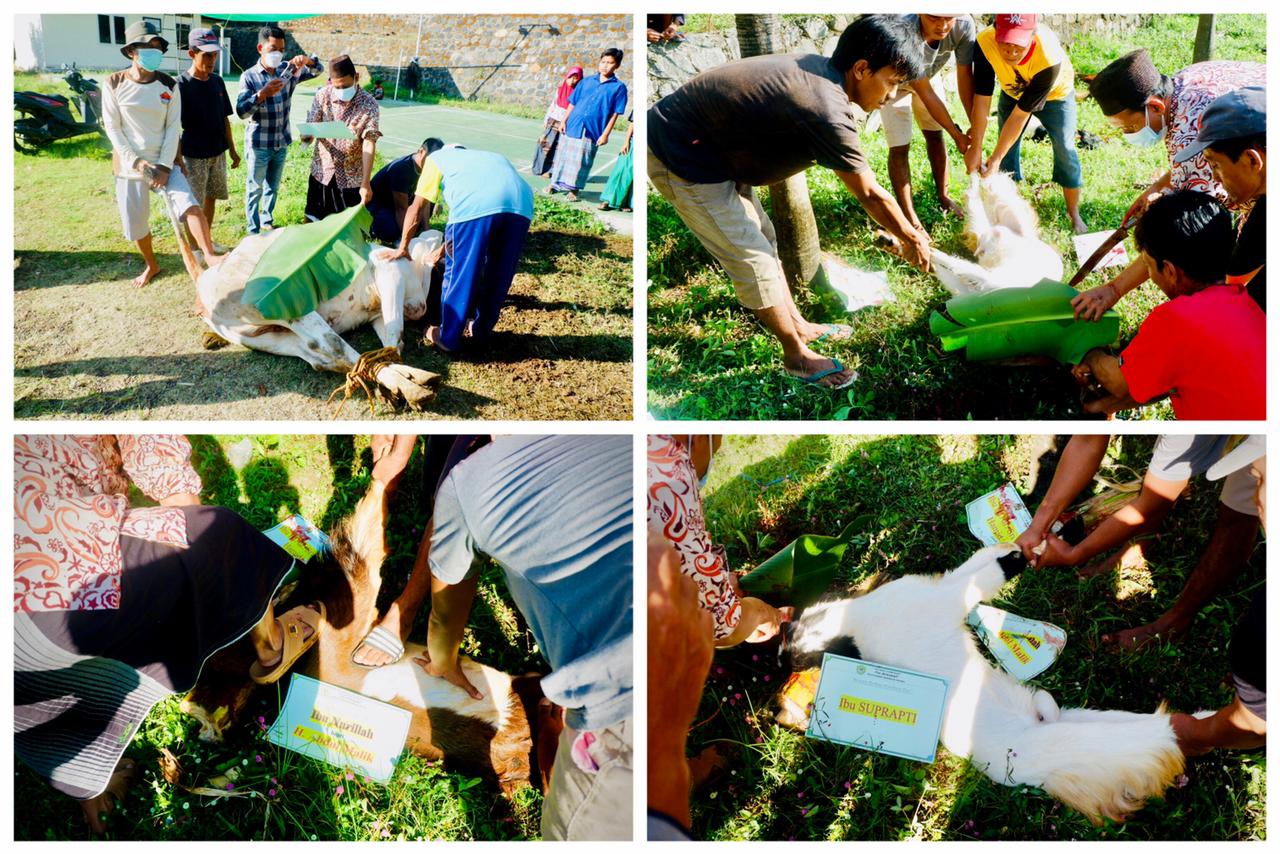 penyembelihan-hewan-qurban-1442-h